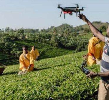 Africa-To-Use-Digital-Technologies-For-Agriculture-To-Encourage-Young-Farmers