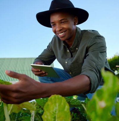 Mixed race male farmer working in vegetable patch holding digital tablet using for research . High quality photo